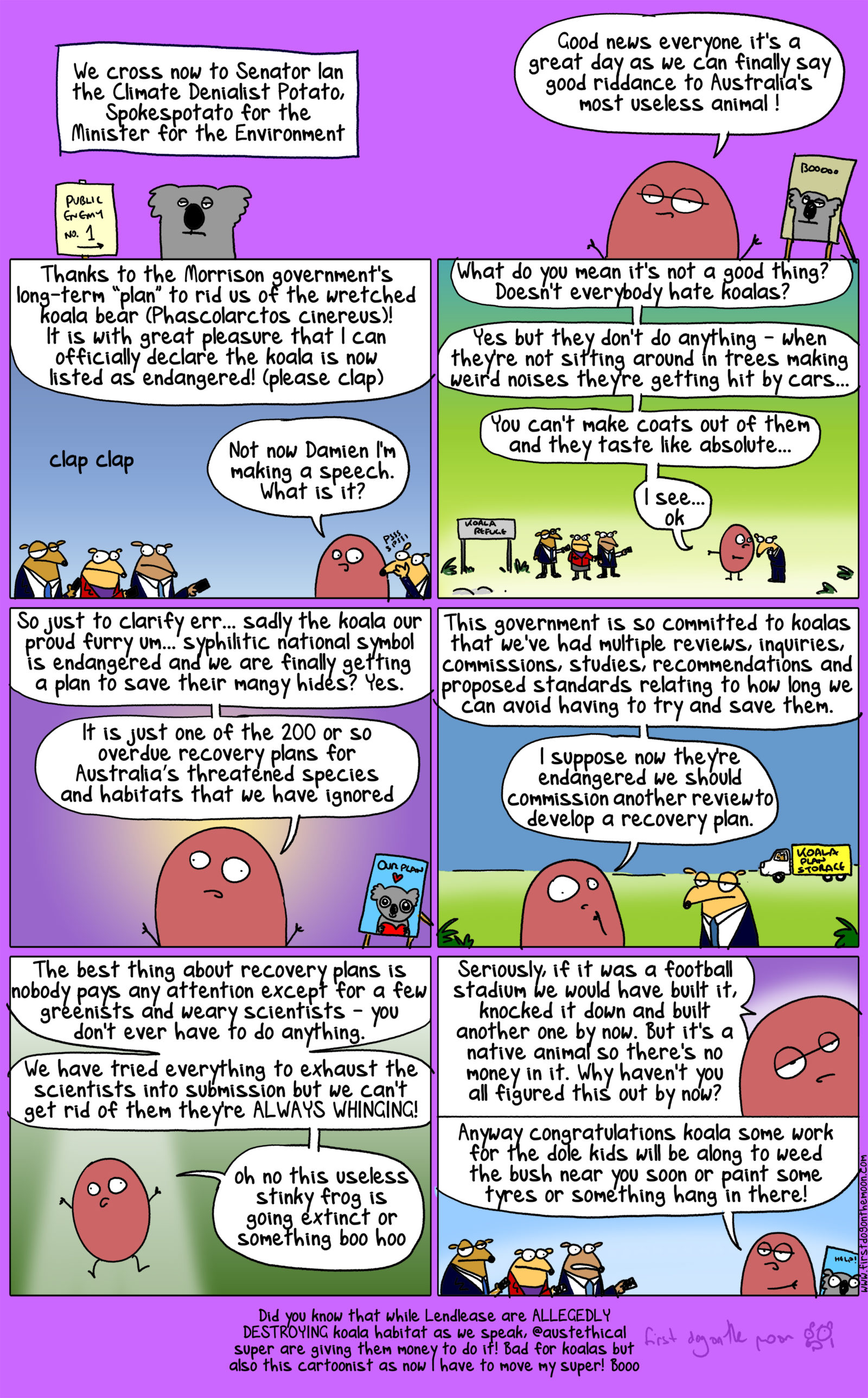 Good riddance to the koala bear, Australia’s most useless animal