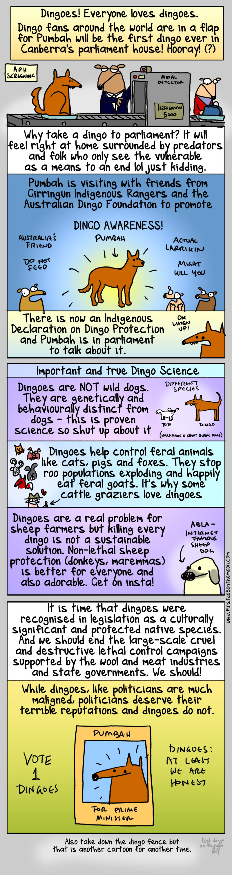 Dingo fans rejoice: a dingo is finally going to parliament! Hooray! What?
