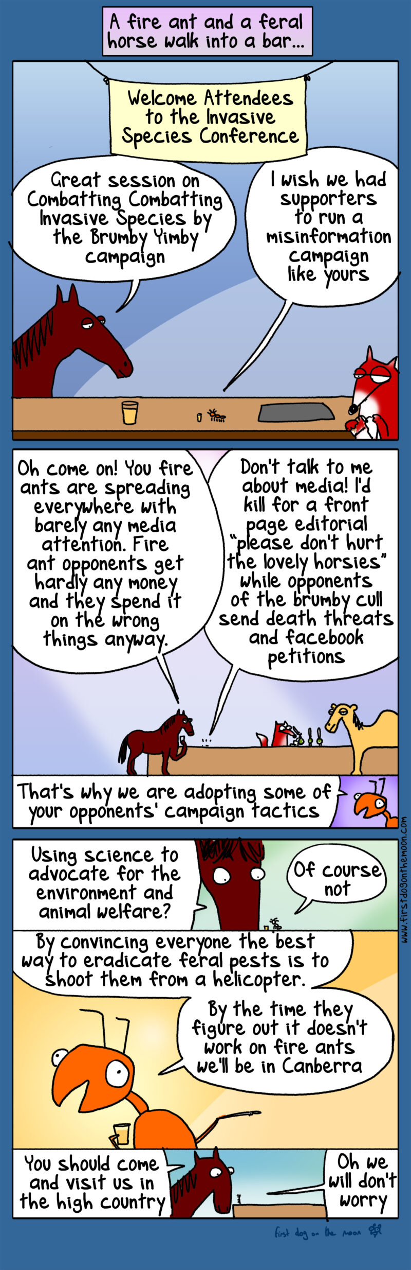 A fire ant and a feral horse walk into a bar …