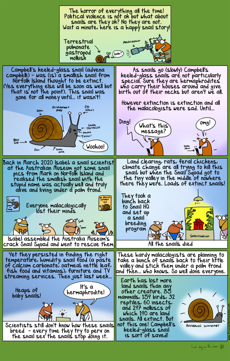 here is a happy snail story