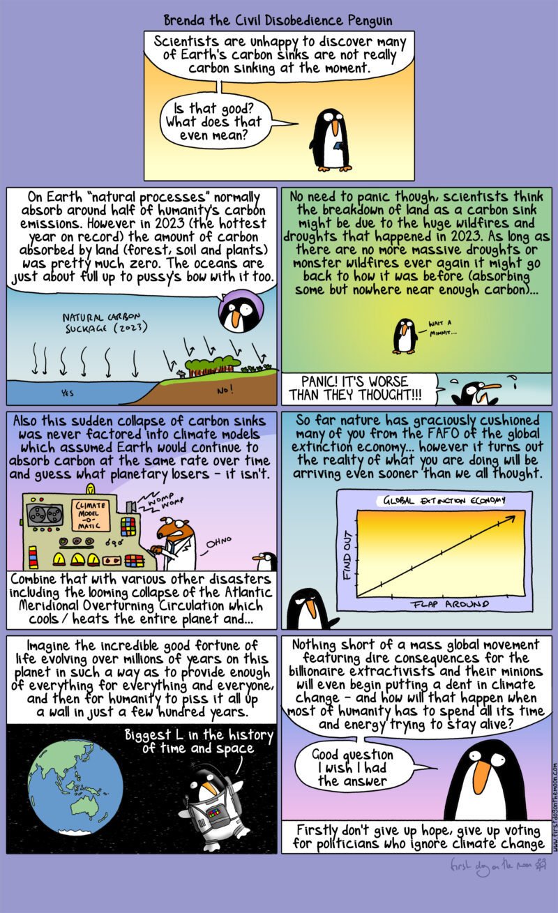 Earth’s carbon sinks are not really carbon sinking