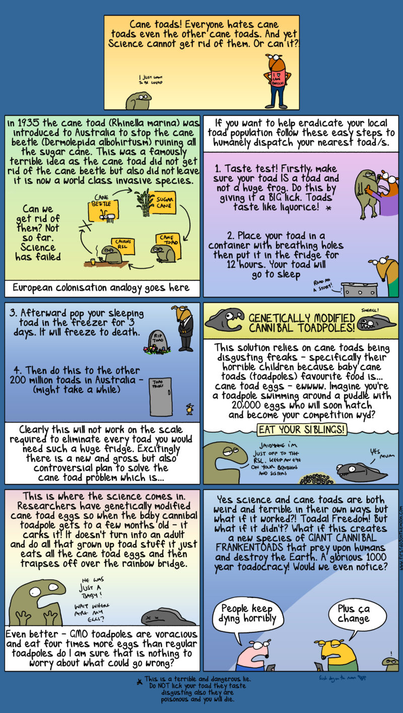 Everyone hates cane toads – even the other cane toads