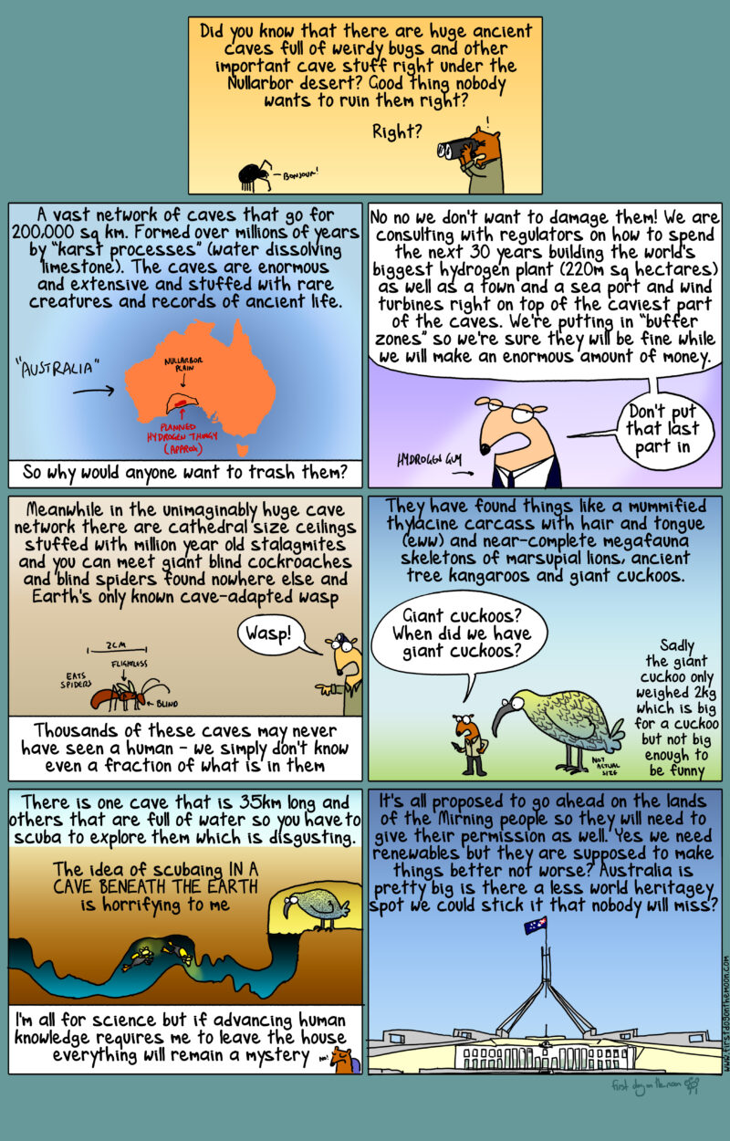 Did you know that there are huge caves full of weirdy bugs and ancient life right under the Nullarbor desert?