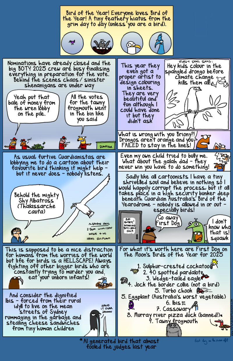 Australian bird of the year!