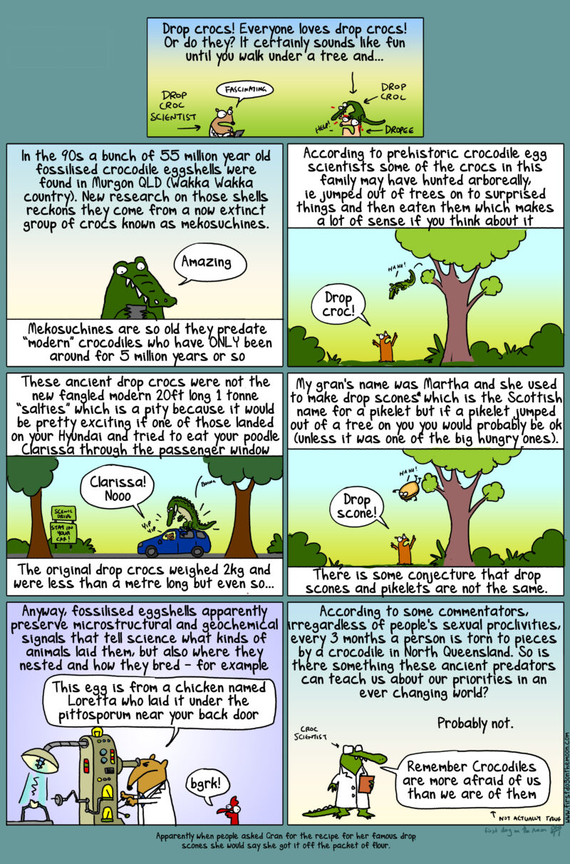 Drop crocs! Everyone loves drop crocs! Or do they?