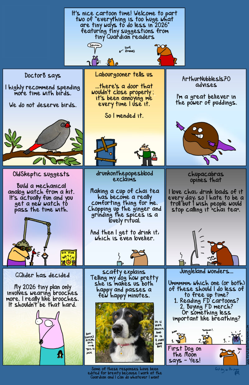 Welcome to part two of ‘tiny ways to do less in 2026’