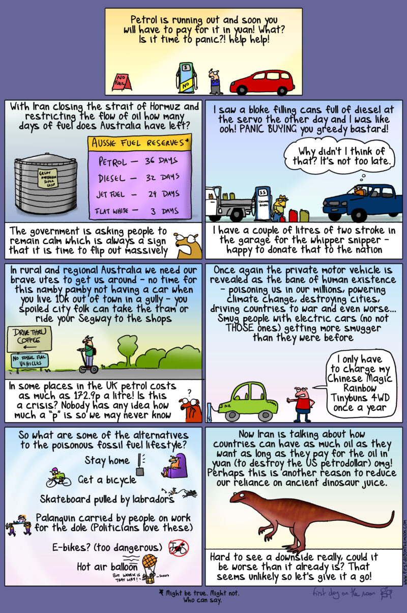 Petrol is running out! Is it time to panic?! Help help