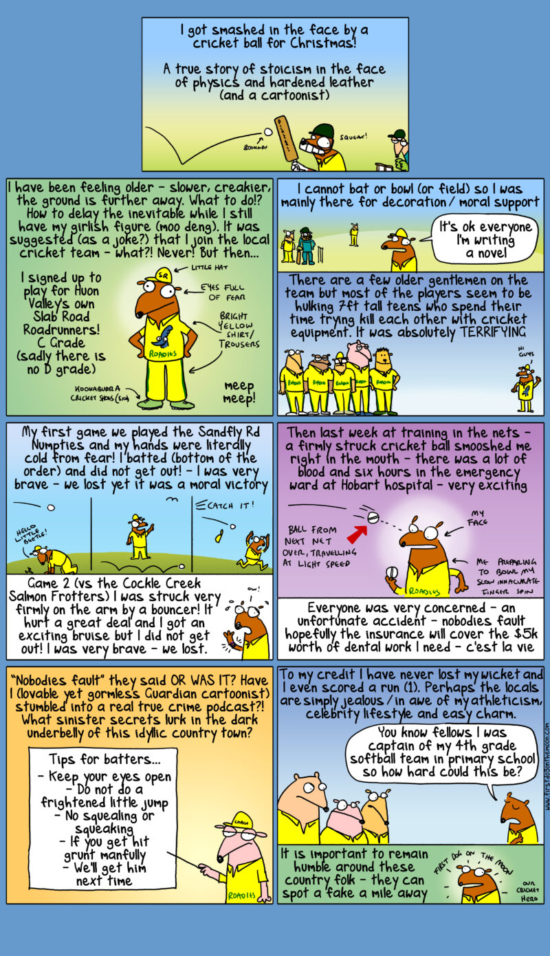 I got smashed in the face by a cricket ball