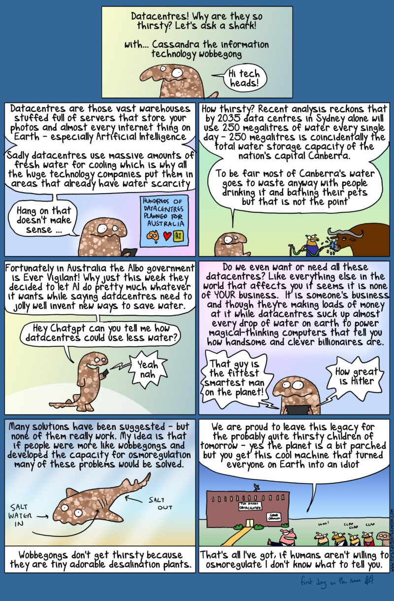 Datacentres – why are they so thirsty? Let’s ask a shark!