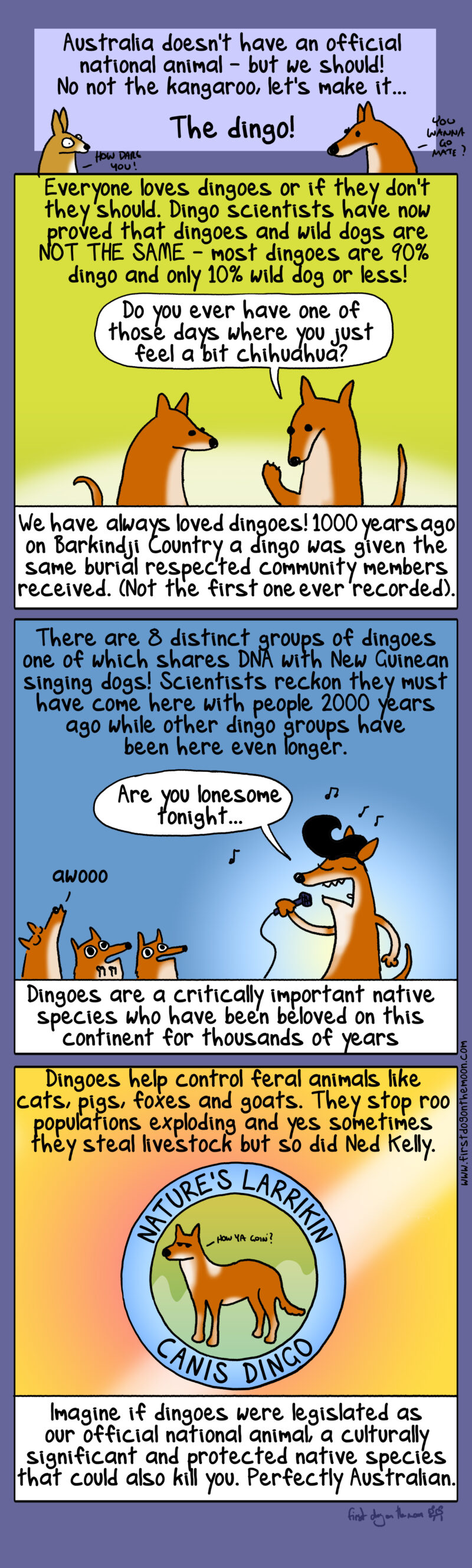 Australia needs a national animal. No, not the kangaroo… the dingo!