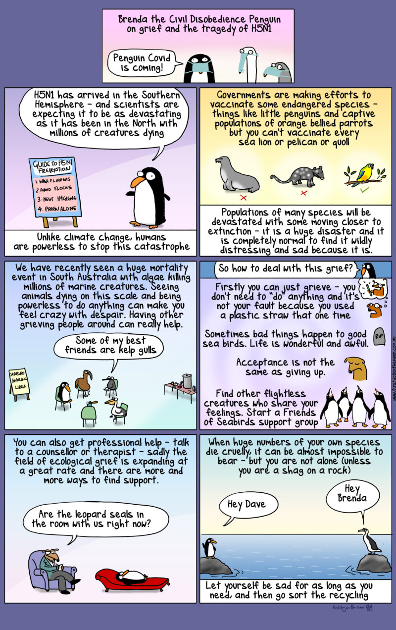 Bird flu is a huge disaster and it’s normal to find it distressing and sad
